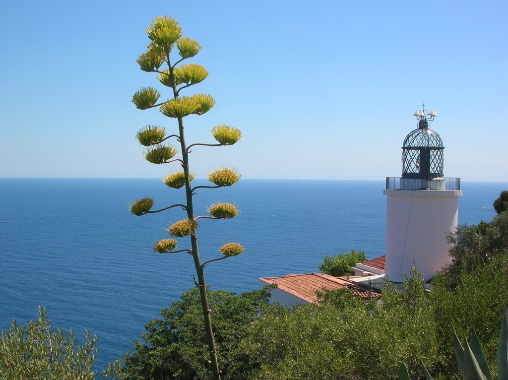 Apartament Antic Plankton - Calella Palafrugell - Free Parking, Beach, Wifi, Perfect Holidays Calella De Palafrugell Exterior photo