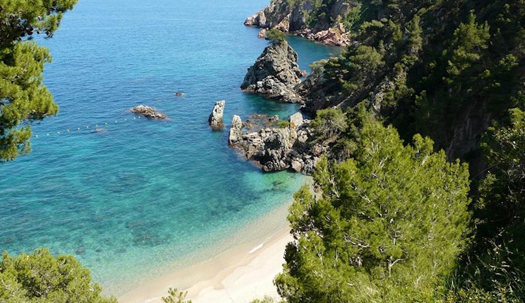 Apartament Antic Plankton - Calella Palafrugell - Free Parking, Beach, Wifi, Perfect Holidays Calella De Palafrugell Exterior photo